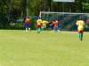 football2009048_small.jpg