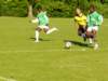 football2009245_small.jpg