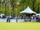 voetbalfestival210_small.jpg